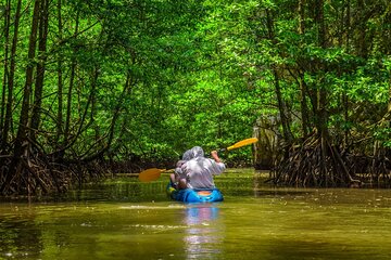 Mangrove Kayak Tour | Manuel Antonio