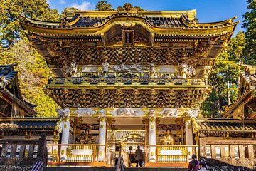 Nikko Full Day Private Tour Driver or Guide