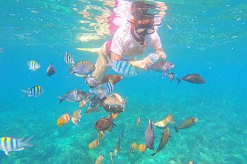 Bali Blue Lagoon Snorkeling with Optional Sightseeing