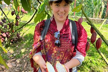 Private Tour of CACAO Chocolate Plantation and Processing