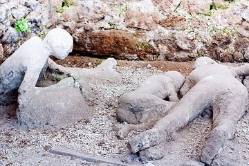 Skip the line Tickets Pompeii Vesuvius and Herculaneum Tour