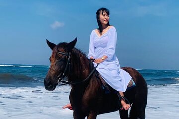 From Ubud 1 Hour Horse Riding at The Beach Experiences