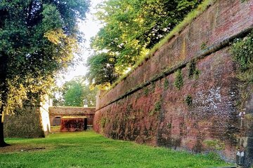 Pisa, Lucca, and Lunch at a Tuscan Winery from Livorno