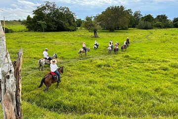 1 Day Horseback Riding at a Real Ranch from Medellin