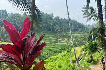 One Day Exploring Ubud