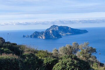 Car Tour off the beaten track admiring Capri and Positano from above