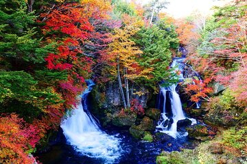 Full Day Private Nikko Tour from Tokyo with English Driver