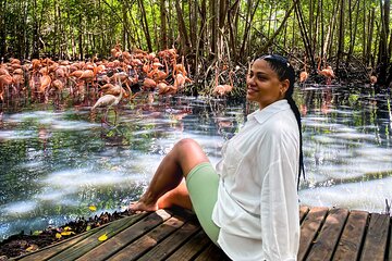Eco Plan National Aviary and Lunch in Playa Mambo Beach Barú