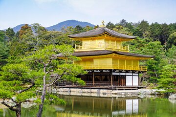 Kyoto and Nara 1 Day Bus Tour