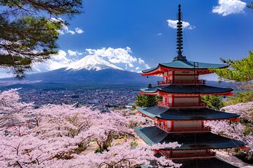 Scenic Spots of Mt Fuji and Lake Kawaguchi 1 Day Bus Tour