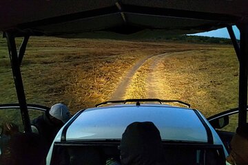 Private Moonlight and Stargazing in National Park near Vic Falls