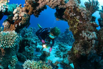 3 Fun Dives in Phi Phi islands for Certified Divers
