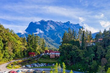 Private Desa Dairy Farm, Kinabalu National Park, Hot Spring & Canopy Walk Tour