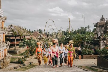 Full Day Private Guided Tour in Ubud Bali 