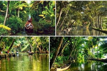 Alasr Lakeview Cruise /Hourly Trips to Backwater of Alleppey 