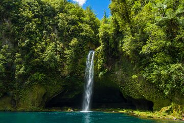 Tauranga Shore Excursion: Omanawa Falls & Great Sights Tour