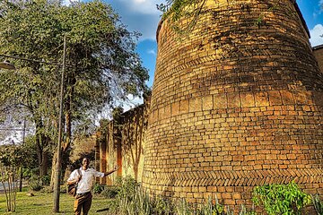 Guided Walking Safari of Victoria Falls Town and Short Bush Walk