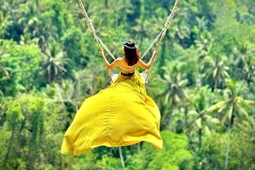 Ubud Tour with Swing, Temple, Monkey Forest, and Waterfall