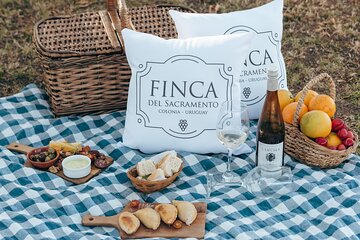 Wine Tour to Colonia Del Sacramento in Finca del Sacramento
