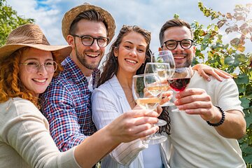 Private Pompeii Tour and Vineyard Lunch on the Slopes of Vesuvius