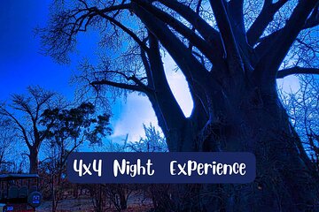 Unique Night Experience in a 4x4 *limited-unique-small group**