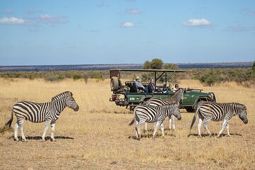 3-Day South Africa Wildlife Experience