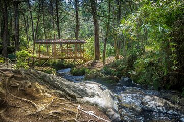 Arvi Park and Waterfalls Medellín City Tour 5-Hour