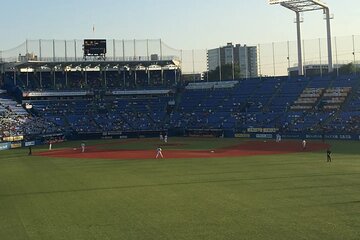 Japan Baseball Tour - Catch a Live Game in Tokyo with a Local