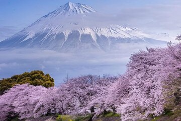 Mount Fuji 1-Day Private Tour with English Speaking Driver