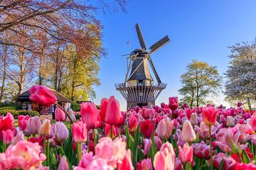 Keukenhof and Zaanse Schans Windmills Day Trip from Amsterdam