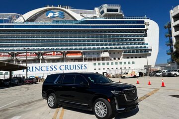 Private Transfer From Port of Miami to Miami and Fort Lauderdale