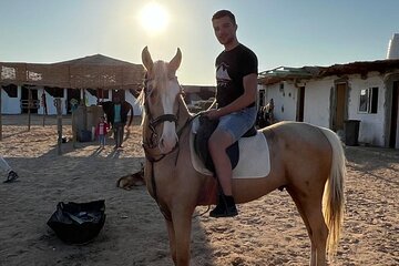  Horse Riding on the Beach And Desert 3 hours From Hurghada