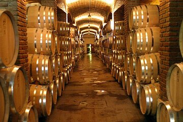 Half Day Tour of Wineries and Olive Oil with Lunch from Mendoza