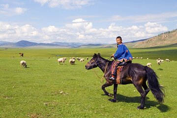 Genghis Khan & Terelj Park: 2 Days Private Tour