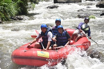 Bali Ayung River Rafting and Denpasar City Private Tour