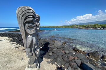 Private Kona Cruise Ship Excursion Kona up to 14 People