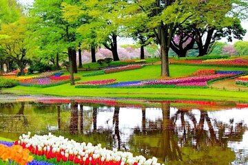 Amsterdam Private Sightseeing Tour to the Keukenhof 