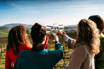 Porto: Douro Valley Tour with 2 Wines, Lunch and Cruise