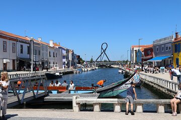 Private day trip: from Porto to Aveiro, Vila Nova de Gaia & back
