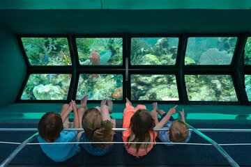 Key West Glass-Bottom Boat Tour with Sunset Option