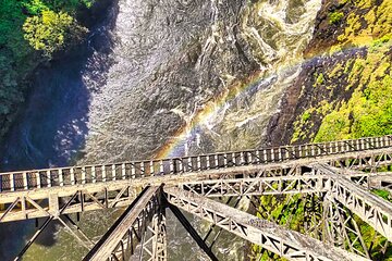 Guided Walking Safari to the Bridge and Down the Gorge