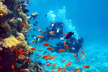 From Luxor: Hurghada 2-Day Tour with Snorkeling and Safari Tour