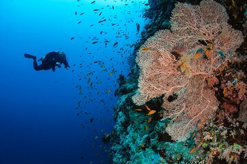 Private Full day Boat Trip Snorkeling Islands tour in Hurghada