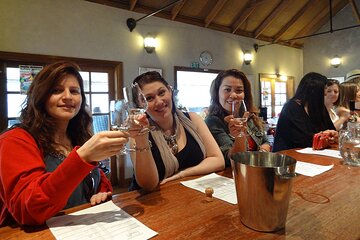 Small-Group Hunter Valley Wine & Cheese Tasting Tour from Sydney