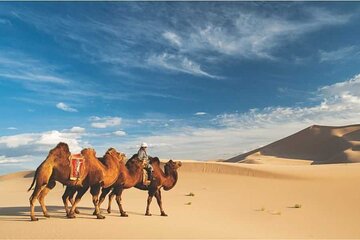 Gobi Desert, Flaming Cliffs & Ger Under Stars: 5-Day Tour