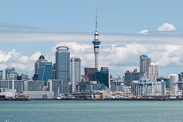 4 Hours Private Tour in Auckland 