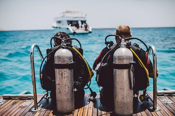 Shore Dives in Sharm El Sheikh Red Sea