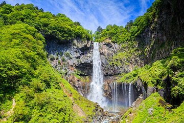 One Day Private Tour to Nikko With English Speaking Driver