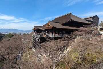 Kyoto Highlights Full Day Private Guided Tour from Tokyo