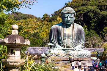 Nara Todaiji Kasuga Taisha Private Full Day Tour From Kyoto